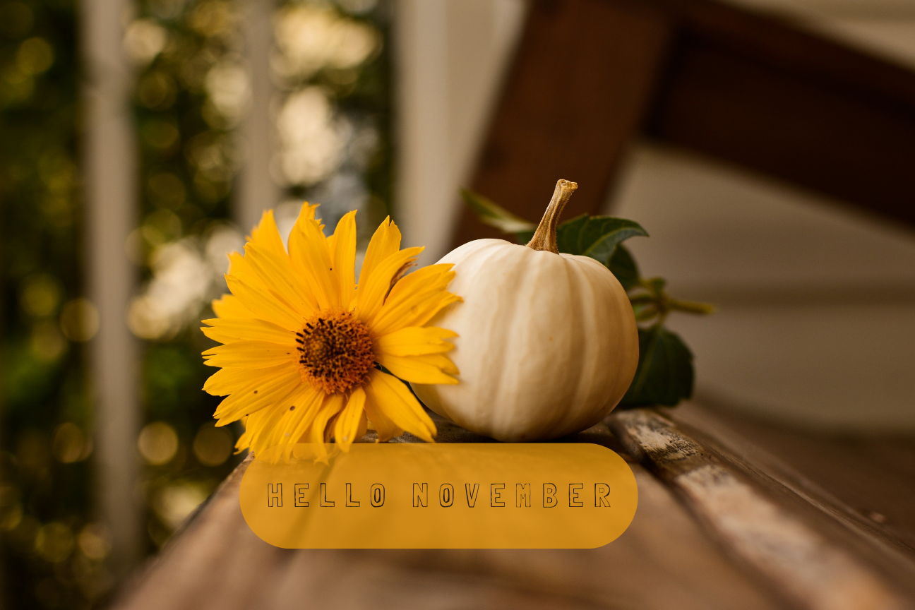 Fall Back with Flowers | End of Daylight Saving Time | Soderberg’s Florist Minneapolis, MN