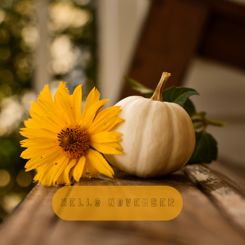 Why November is a Great Month for Fresh Flowers from Your Minneapolis Florist